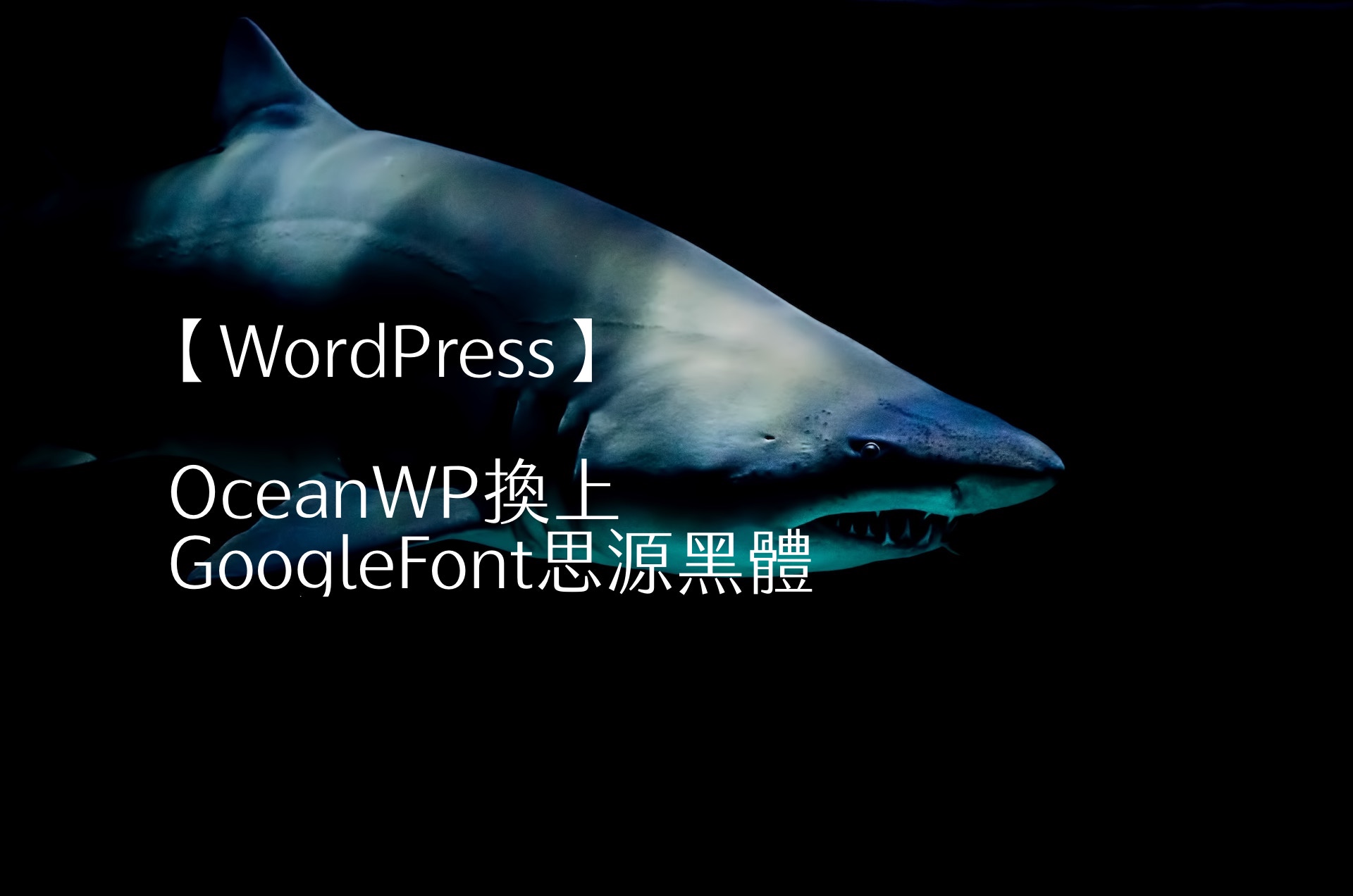 【WordPress】OceanWP換上GoogleFont思源黑體