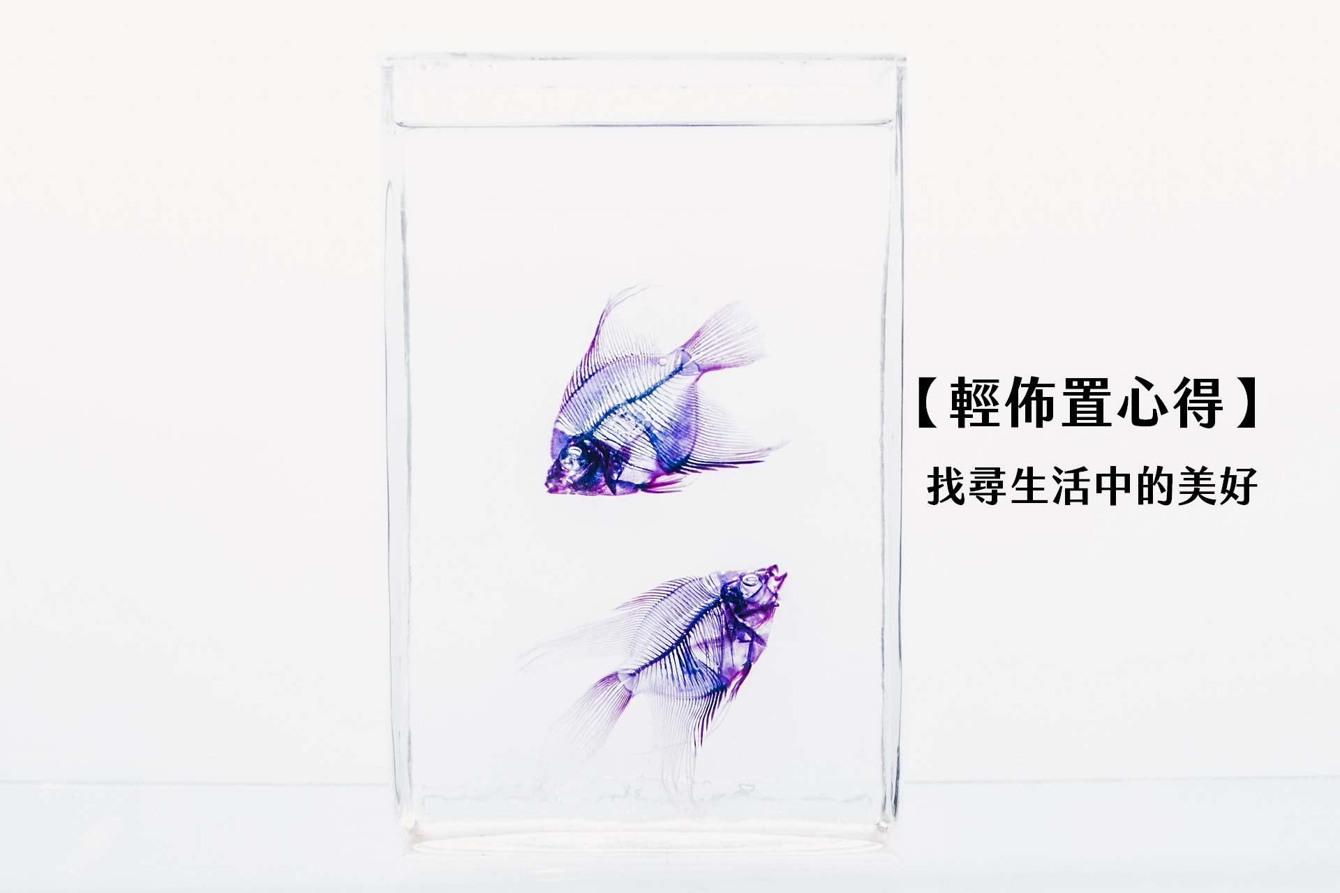 【輕佈置心得】找尋生活中的美好-收納整理